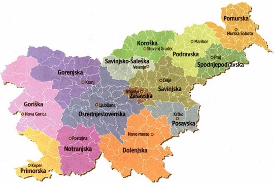 PPV VLADI RS; Neuresničena obljuba – decentralizacije države